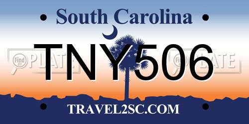 TNY506 South Carolina License Plate