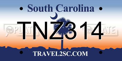 TNZ314 South Carolina License Plate