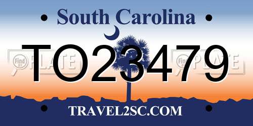 TO23479 South Carolina License Plate
