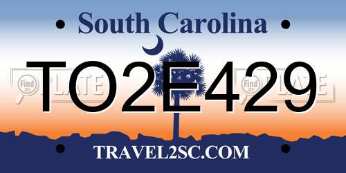 TO2E429 South Carolina License Plate
