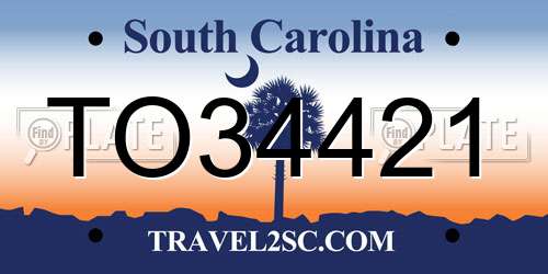TO34421 South Carolina License Plate