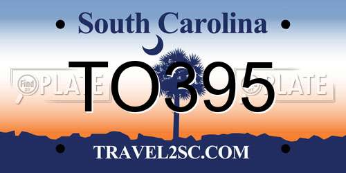 TO395 South Carolina License Plate