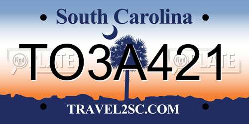 TO3A421 South Carolina License Plate