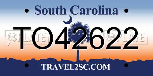 TO42622 South Carolina License Plate