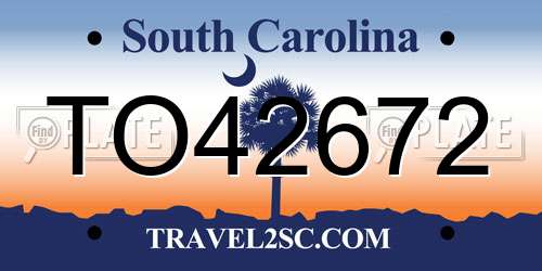 TO42672 South Carolina License Plate