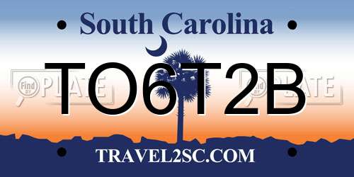 TO6T2B South Carolina License Plate