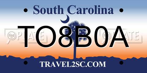TO8B0A South Carolina License Plate