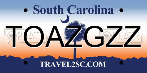 TOAZGZZ South Carolina License Plate