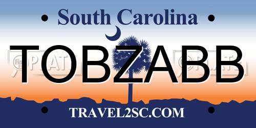 TOBZABB South Carolina License Plate