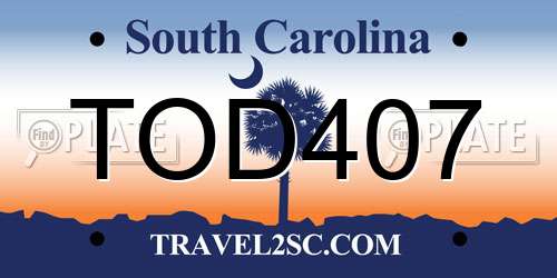 TOD407 South Carolina License Plate
