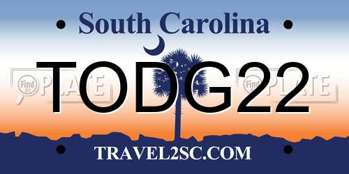 TODG22 South Carolina License Plate