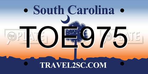 TOE975 South Carolina License Plate