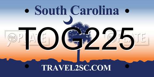 TOG225 South Carolina License Plate