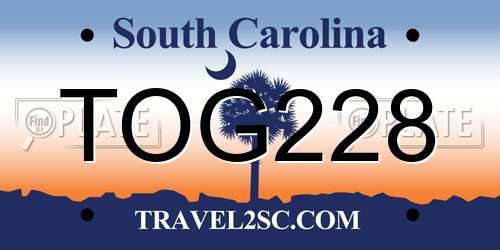 TOG228 South Carolina License Plate