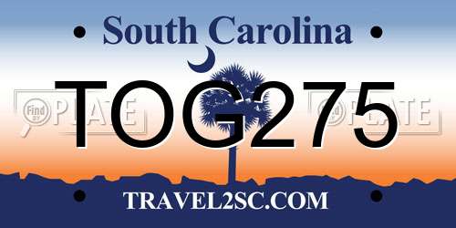 TOG275 South Carolina License Plate