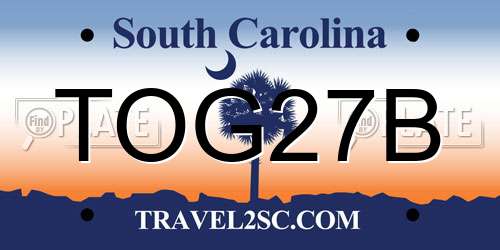 TOG27B South Carolina License Plate