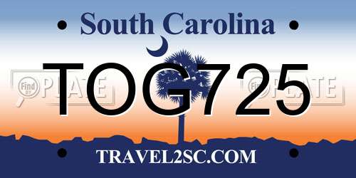 TOG725 South Carolina License Plate