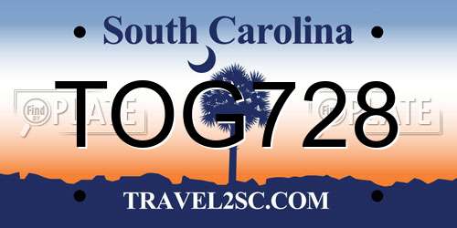 TOG728 South Carolina License Plate