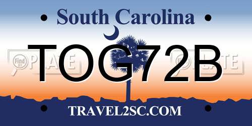 TOG72B South Carolina License Plate