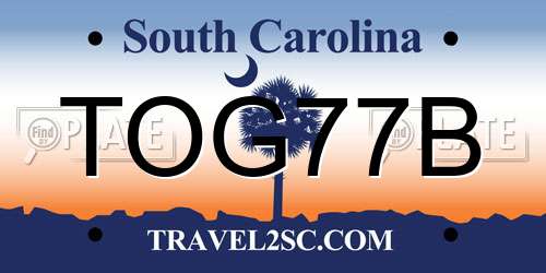 TOG77B South Carolina License Plate