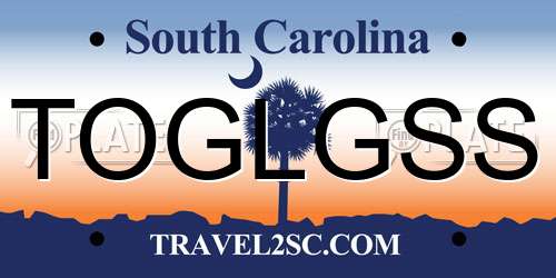 TOGLGSS South Carolina License Plate