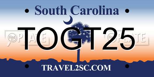 TOGT25 South Carolina License Plate