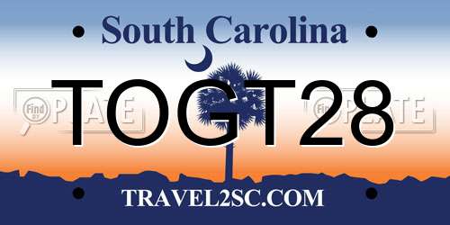 TOGT28 South Carolina License Plate