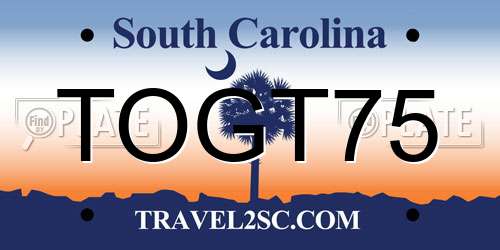 TOGT75 South Carolina License Plate