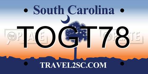 TOGT78 South Carolina License Plate