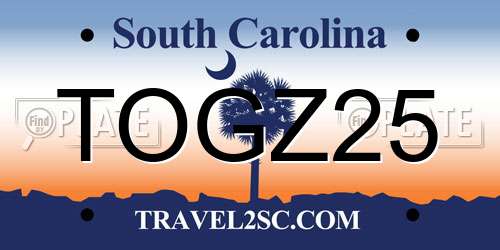 TOGZ25 South Carolina License Plate
