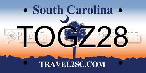 TOGZ28 South Carolina License Plate