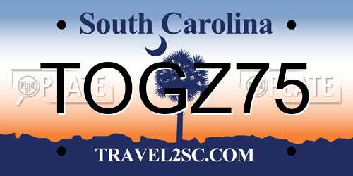 TOGZ75 South Carolina License Plate