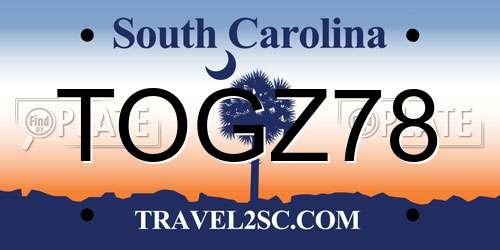 TOGZ78 South Carolina License Plate