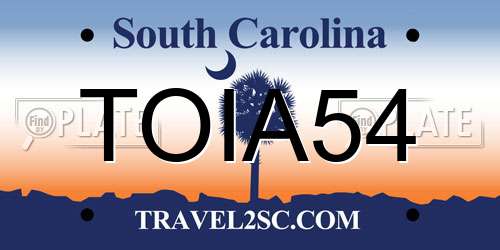 TOIA54 South Carolina License Plate