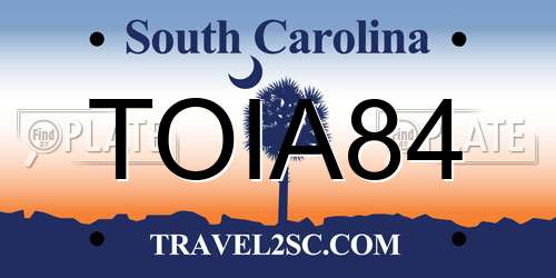 TOIA84 South Carolina License Plate