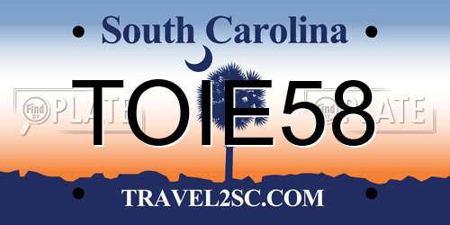 TOIE58 South Carolina License Plate