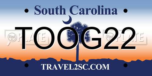 TOOG22 South Carolina License Plate