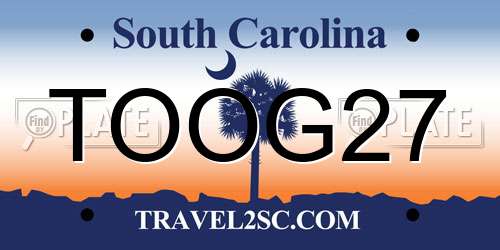 TOOG27 South Carolina License Plate