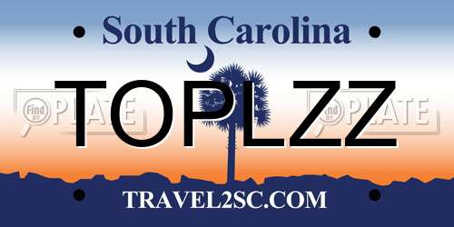 TOPLZZ South Carolina License Plate