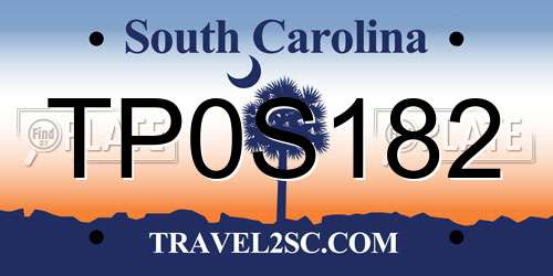 TP0S182 South Carolina License Plate