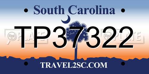 TP37322 South Carolina License Plate