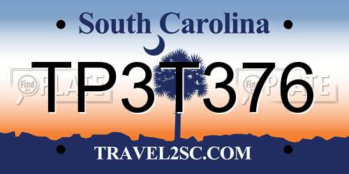 TP3T376 South Carolina License Plate