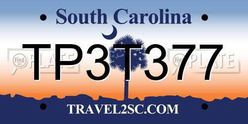 TP3T377 South Carolina License Plate
