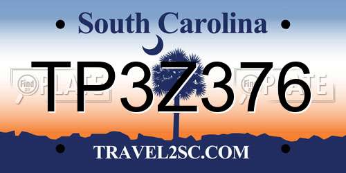 TP3Z376 South Carolina License Plate