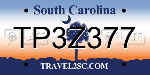 TP3Z377 South Carolina License Plate