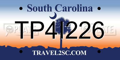 TP4I226 South Carolina License Plate
