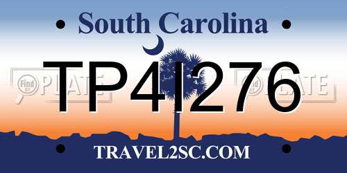 TP4I276 South Carolina License Plate