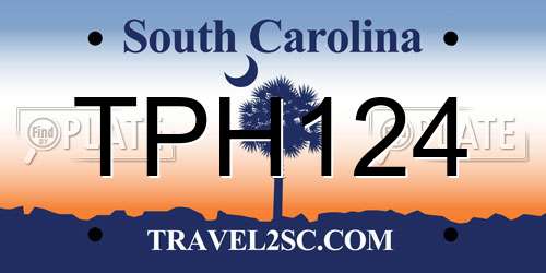 TPH124 South Carolina License Plate