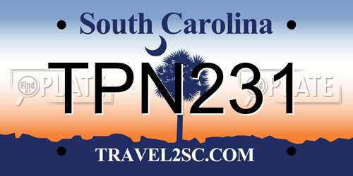 TPN231 South Carolina License Plate