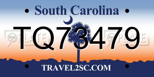 TQ73479 South Carolina License Plate